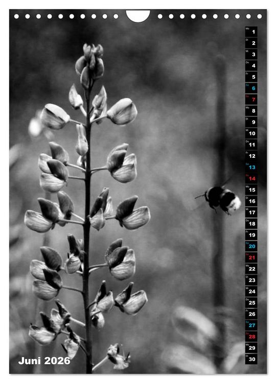 Produktbild: Blumige Graustufen - Schwarz und Wei&szlig; (Wandkalender 2026 DIN A4 hoch), CALVENDO Monatskalender