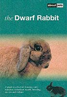Produktbild: The Dwarf Rabbit