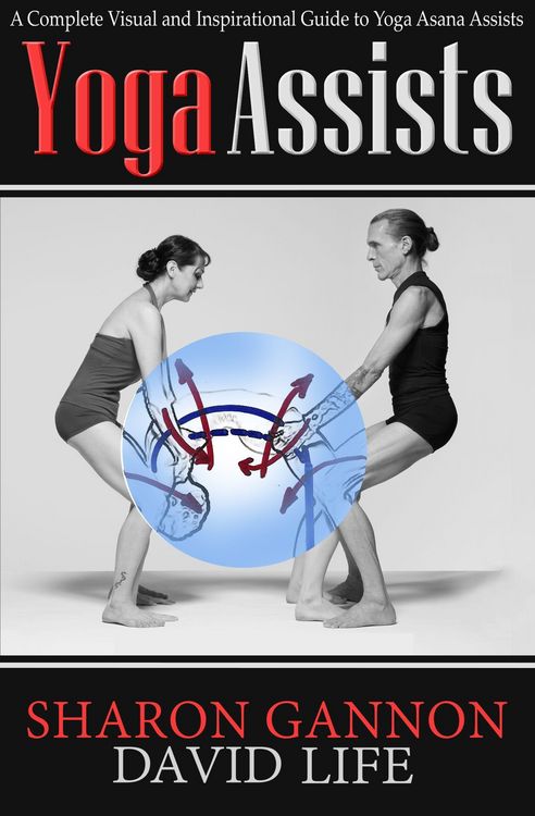 Produktbild: Yoga Assists