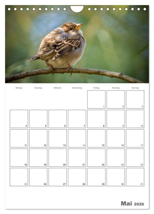 Produktbild: V&ouml;gel im heimischen Garten (Wandkalender 2026 DIN A4 hoch), CALVENDO Monatskalender