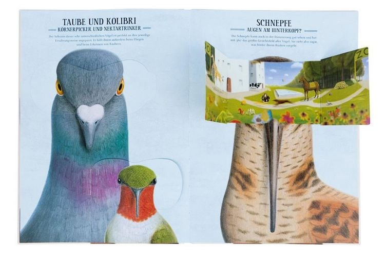 Produktbild: Was sieht eigentlich der Regenwurm?