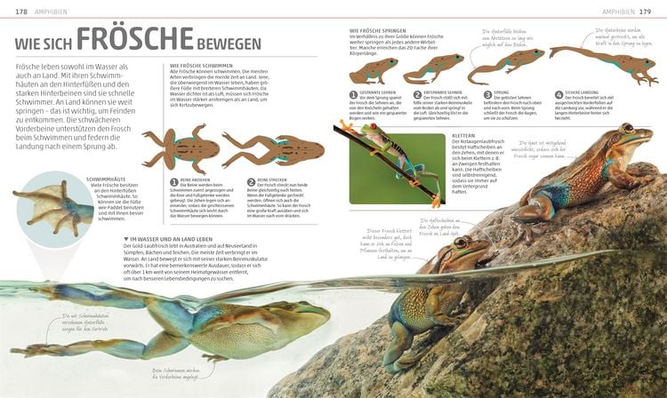 Produktbild: Mega-Wissen. Natur