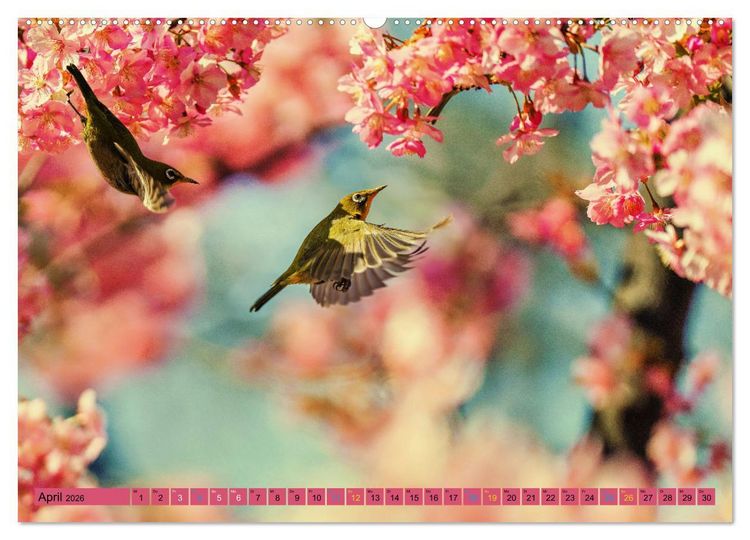 Produktbild: JAPAN - Im Land des L&auml;chelns (Wandkalender 2026 DIN A2 quer), CALVENDO Monatskalender