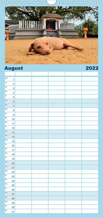 Produktbild: Familienplaner Hunde aus aller Welt (Wandkalender 2022 , 21 cm x 45 cm, hoch)