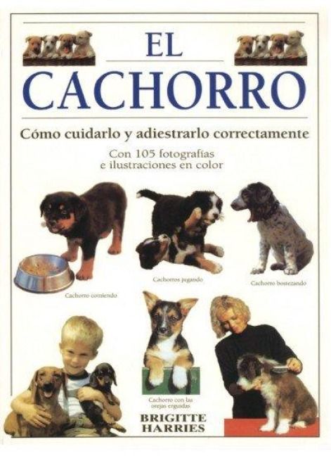 Produktbild: El cachorro : c&oacute;mo cuidarlo y adiestrarlo perfectamente