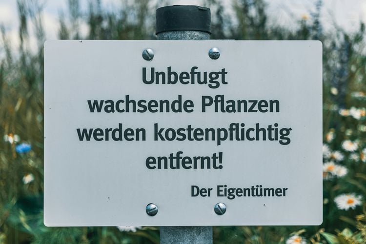 Produktbild: Einfach Deutsch