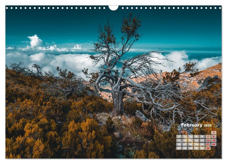 Produktbild: Madeira Island - Portugal (Wall Calendar 2026 DIN A3 landscape), CALVENDO 12 Month Wall Calendar