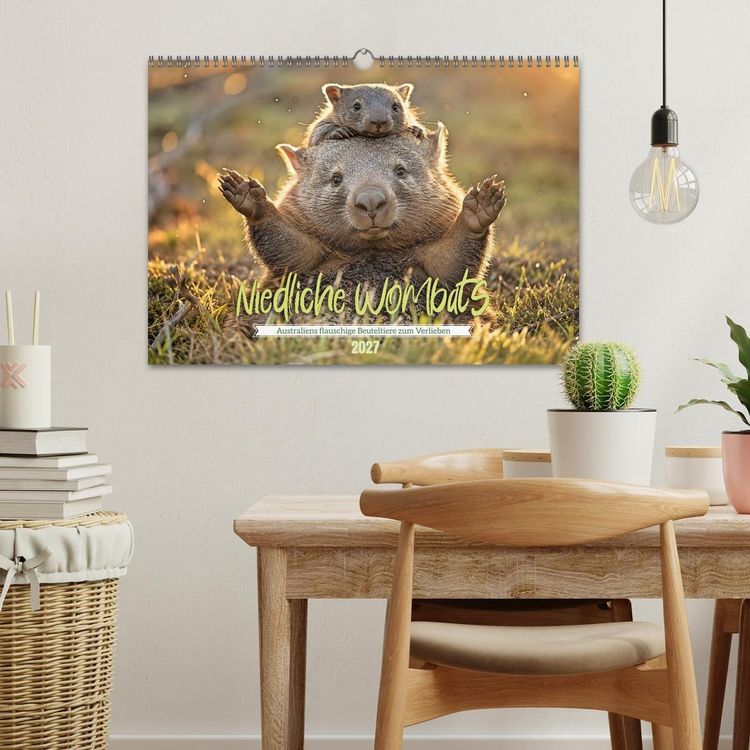 Produktbild: Niedliche Wombats - Australiens flauschige Beuteltiere zum Verlieben (Wandkalender 2027 DIN A3 quer), CALVENDO Monatskalender