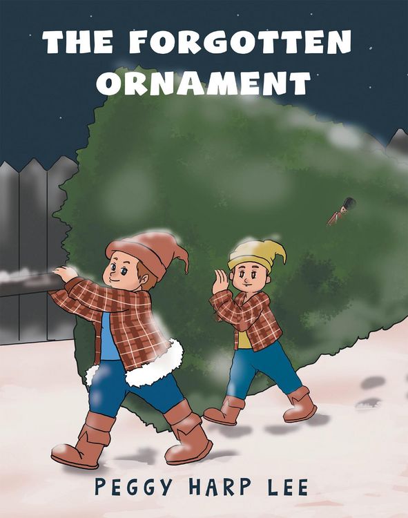 Produktbild: The Forgotten Ornament