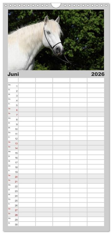 Produktbild: Familienplaner 2026 - Pferde - im Galopp durch's Jahr mit 5 Spalten (Wandkalender, 21 x 45 cm) CALVENDO