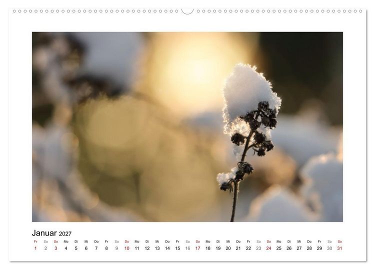 Produktbild: Zauber verg&auml;nglicher Bl&uuml;ten (hochwertiger Premium Wandkalender 2027 DIN A2 quer), Kunstdruck in Hochglanz