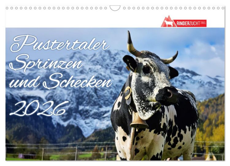 Produktbild: Pustertaler Sprinzen und Schecken 2026 (Wandkalender 2026 DIN A3 quer), CALVENDO Monatskalender