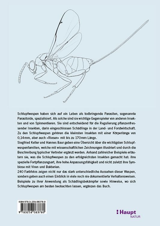 Produktbild: Schlupfwespen