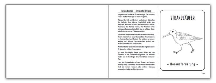 Produktbild: GFK Bedürfnisse zum Anmalen und Ausschneiden