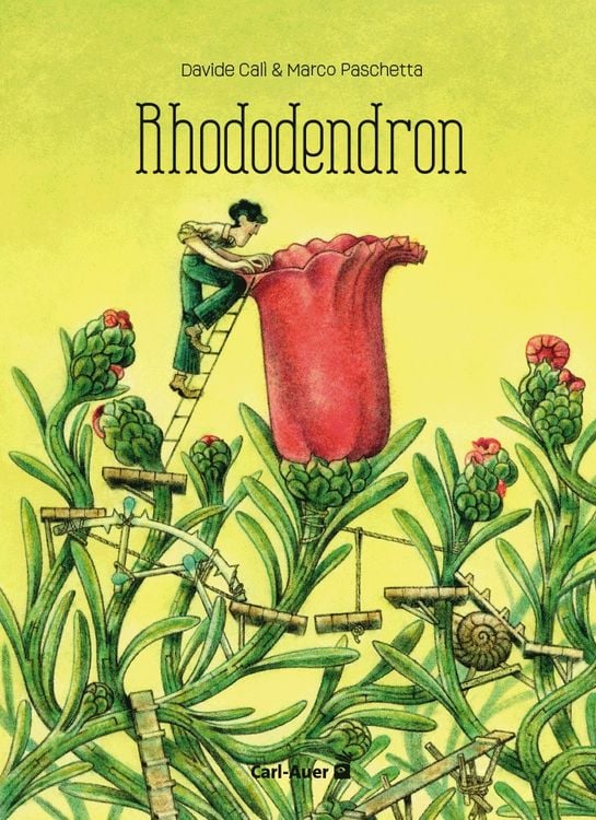 Produktbild: Rhododendron