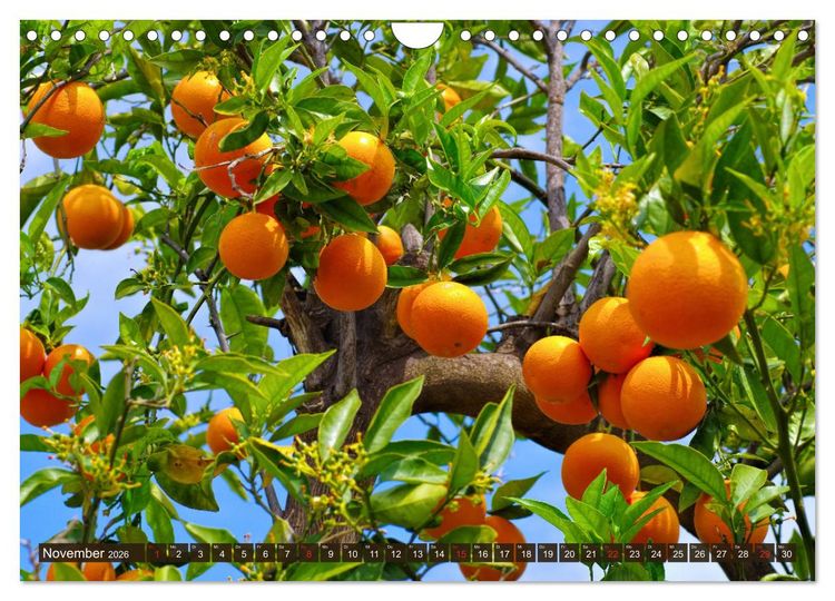 Produktbild: Costa del Azahar - K&uuml;ste der Orangenbl&uuml;te (Wandkalender 2026 DIN A4 quer), CALVENDO Monatskalender