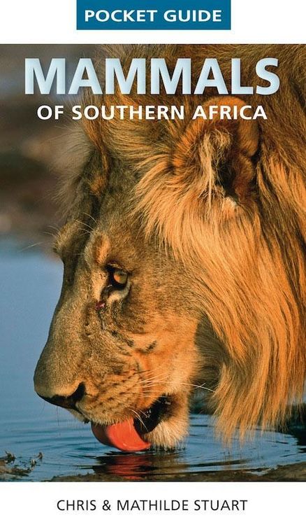 Produktbild: Pocket Guide Mammals of Southern Africa
