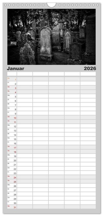 Produktbild: Familienplaner 2026 - Gothic Fantasy mit 5 Spalten (Wandkalender, 21 x 45 cm) CALVENDO