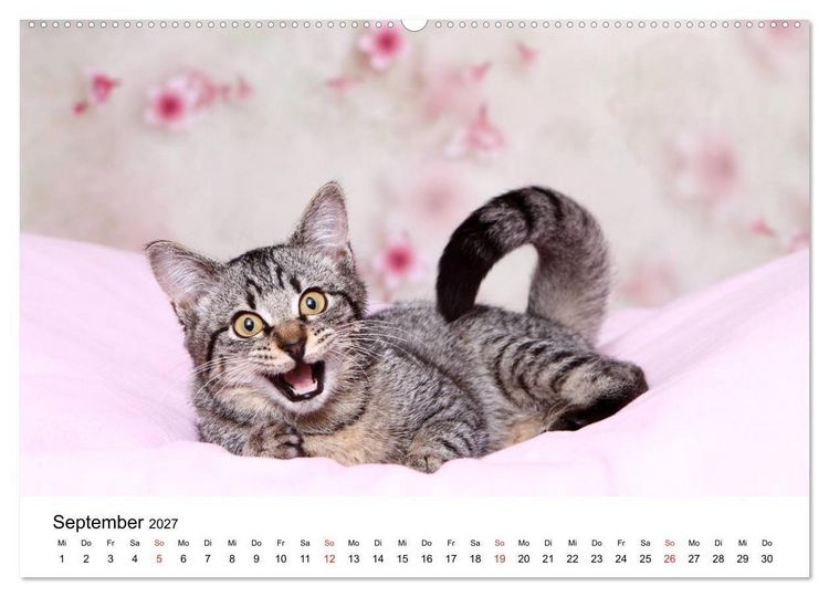 Produktbild: lach mit...just smile (hochwertiger Premium Wandkalender 2027 DIN A2 quer), Kunstdruck in Hochglanz