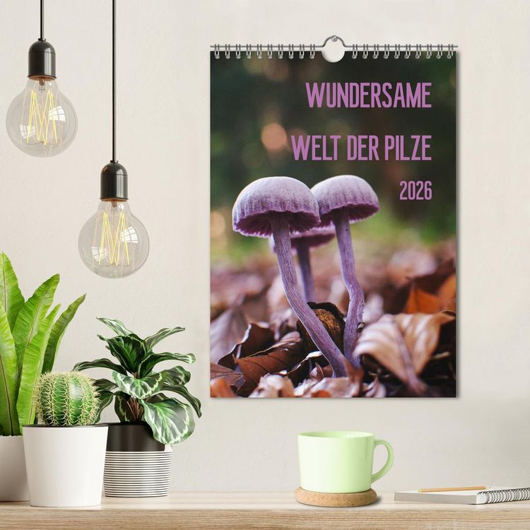 Produktbild: Wundersame Welt der Pilze (Wandkalender 2026 DIN A4 hoch), CALVENDO Monatskalender