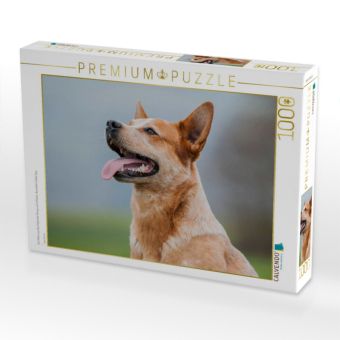 Produktbild: CALVENDO Puzzle Ein Motiv aus dem Kalender Power auf 4 Pfoten. Australian Cattle Dog | 1000 Teile Lege-Gr&ouml;&szlig;e 64x48cm Foto-Puzzle f&uuml;r gl&uuml;ckliche Stunden