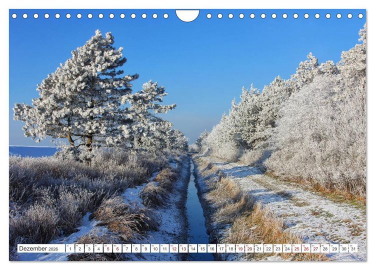 Produktbild: ST. PETER ORDING Strand und Meer (Wandkalender 2026 DIN A4 quer), CALVENDO Monatskalender