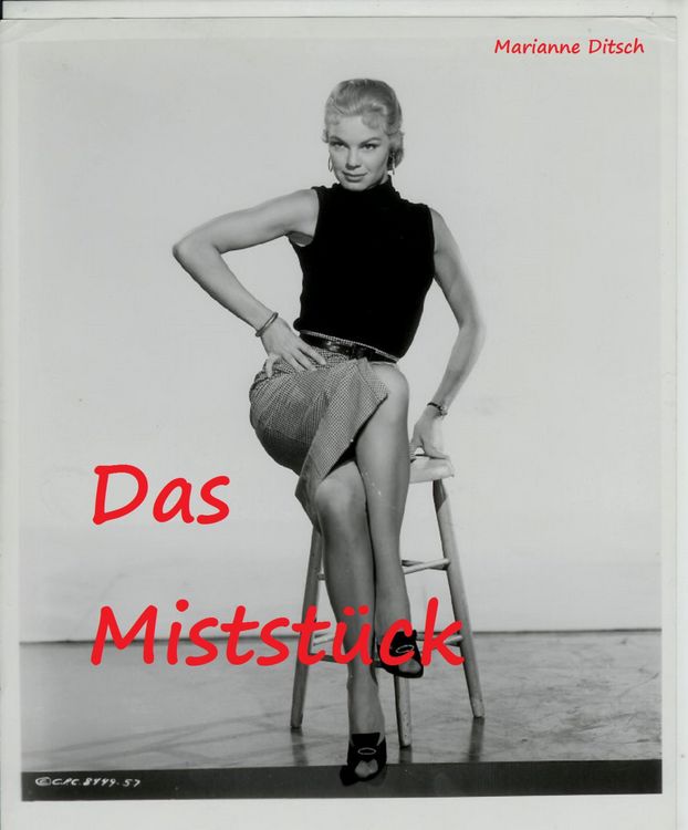 Produktbild: Das Mistst&uuml;ck - erotischer Kurzroman