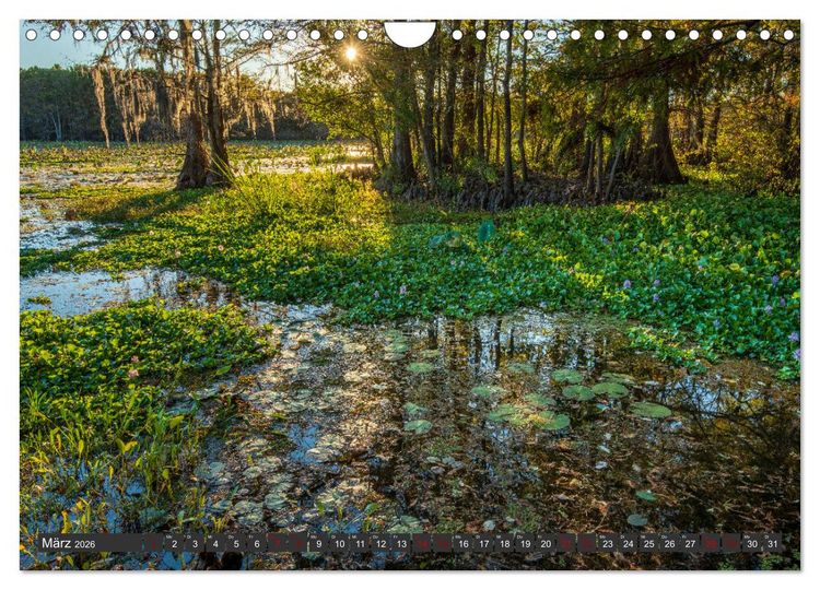 Produktbild: Natur Paradies Mississippi Delta (Wandkalender 2026 DIN A4 quer), CALVENDO Monatskalender