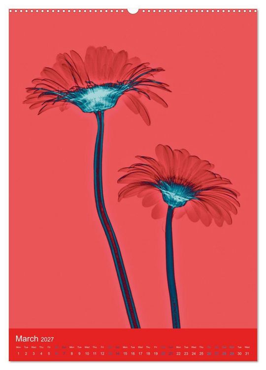 Produktbild: Blossoms between light and colour (Wall Calendar 2027 DIN A2 portrait), CALVENDO 12 Month Wall Calendar