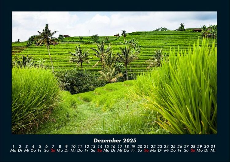 Produktbild: Indonesiens Sch&ouml;nheit 2025 Fotokalender DIN A4