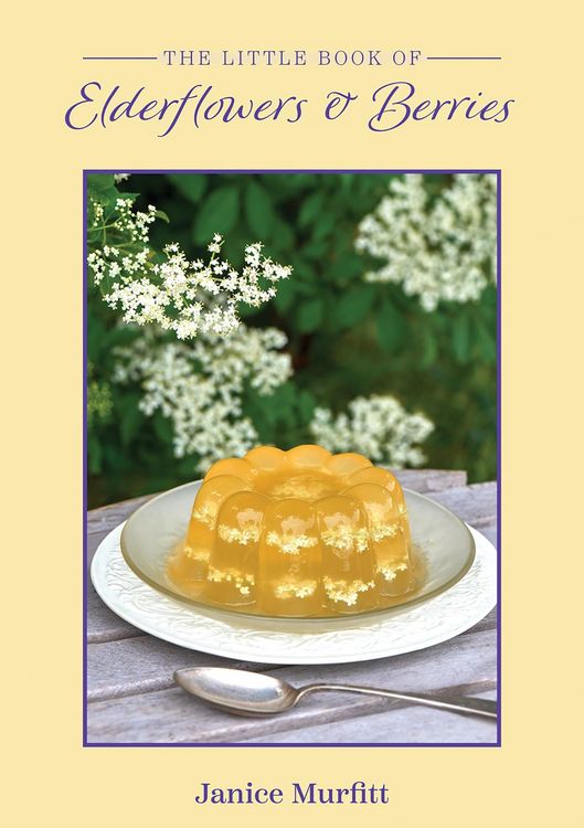 Produktbild: Little Book of Elderflowers and Berries