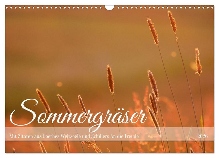 Produktbild: Sommergr&auml;ser (Wandkalender 2026 DIN A3 quer), CALVENDO Monatskalender