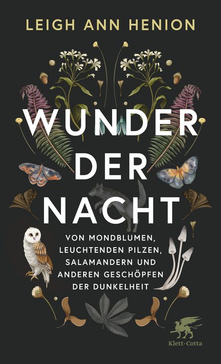 Produktbild: Wunder der Nacht