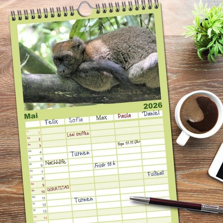 Produktbild: Familienplaner 2026 - Tiere Madagaskars mit 5 Spalten (Wandkalender, 21 x 45 cm) CALVENDO