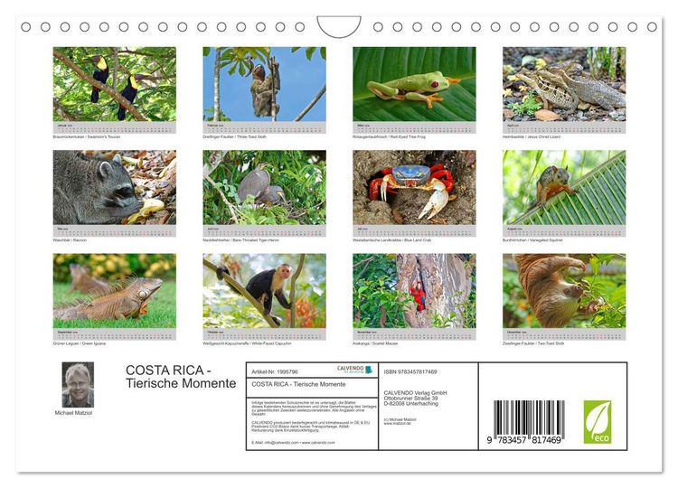 Produktbild: COSTA RICA - Tierische Momente (Wandkalender 2026 DIN A4 quer), CALVENDO Monatskalender