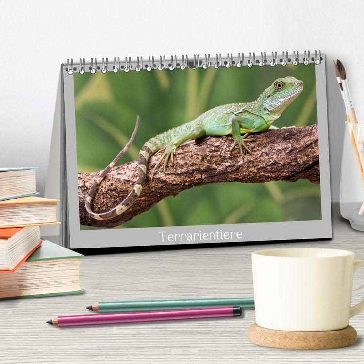Produktbild: Terrarientiere (Tischkalender 2026 DIN A5 quer), CALVENDO Monatskalender