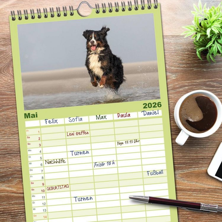 Produktbild: Familienplaner 2026 - Liebling BERNER SENNENHUND mit 5 Spalten (Wandkalender, 21 x 45 cm) CALVENDO