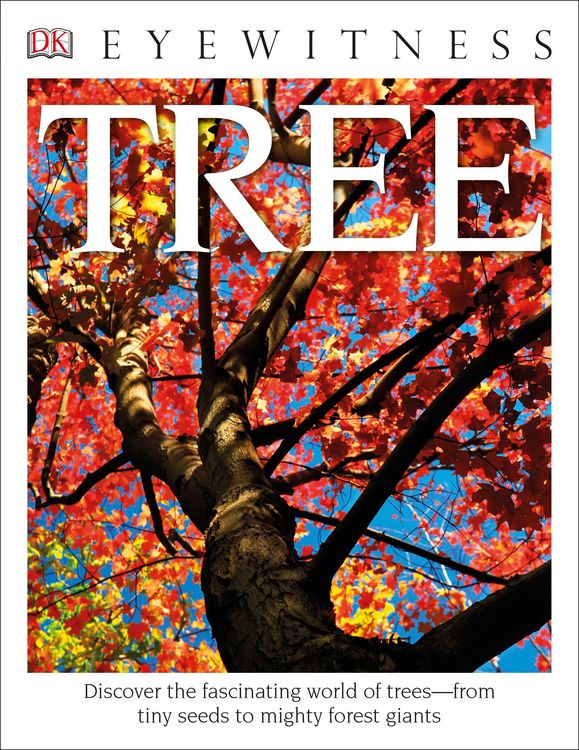 Produktbild: Eyewitness Tree
