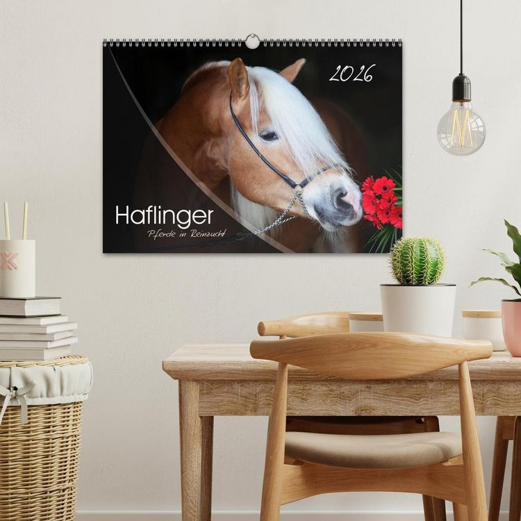 Produktbild: Haflinger-Pferde in Reinzucht (Wandkalender 2026 DIN A3 quer), CALVENDO Monatskalender