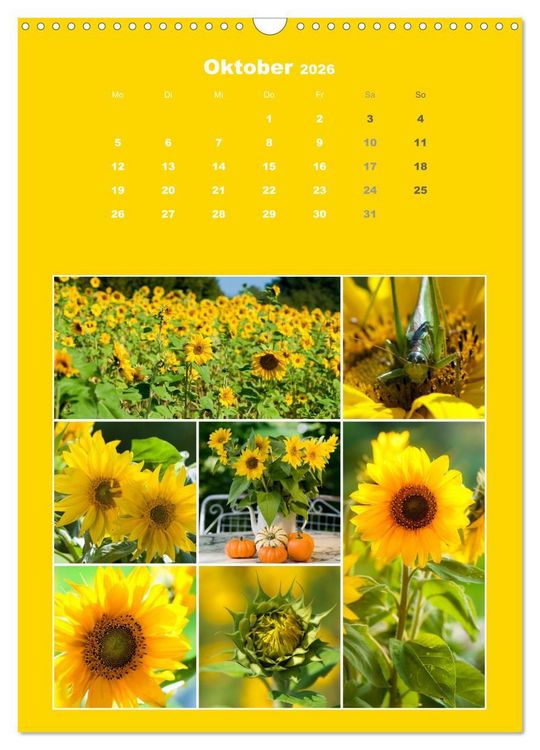 Produktbild: Der kunterbunte Collagen Kalender (Wandkalender 2026 DIN A3 hoch), CALVENDO Monatskalender