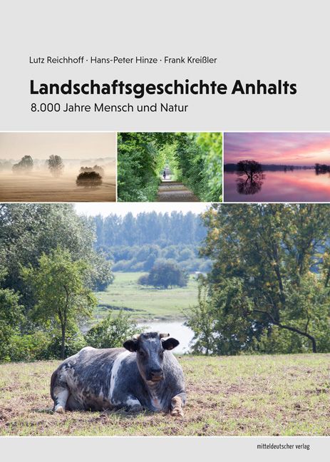 Produktbild: Landschaftsgeschichte Anhalts