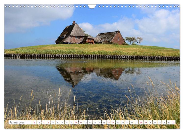 Produktbild: Sommertage auf Hallig Hooge (Wandkalender 2026 DIN A3 quer), CALVENDO Monatskalender