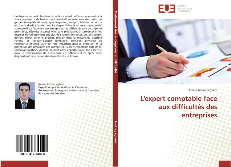 Produktbild: L'expert comptable face aux difficult&eacute;s des entreprises
