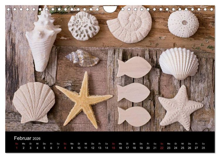 Produktbild: Strandgut und Meer 2026 (Wandkalender 2026 DIN A4 quer), CALVENDO Monatskalender