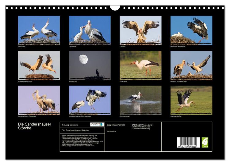 Produktbild: Die Sandersh&auml;user St&ouml;rche (Wandkalender 2026 DIN A3 quer), CALVENDO Monatskalender