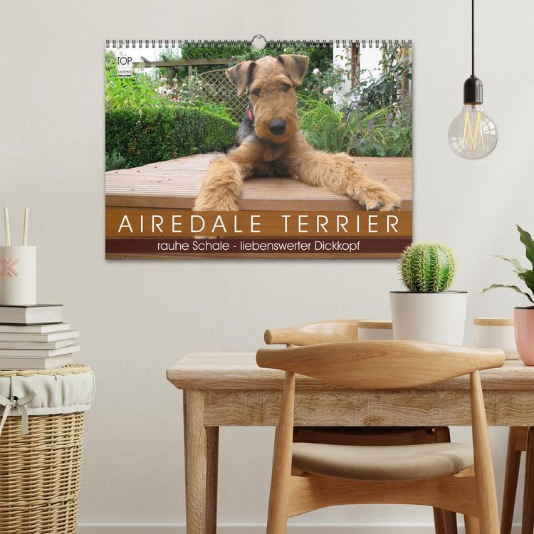 Produktbild: Airedale Terrier (Wandkalender 2026 DIN A3 quer), CALVENDO Monatskalender