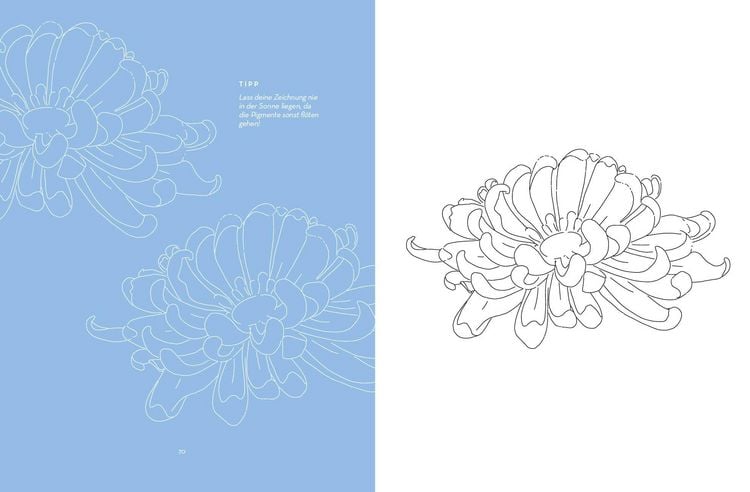 Produktbild: Flowers mit Lana: Ausmalen und entspannen mit Lanaarts23