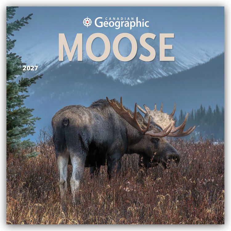 Produktbild: Moose &ndash; Elche 2027 &ndash; 16-Monatskalender
