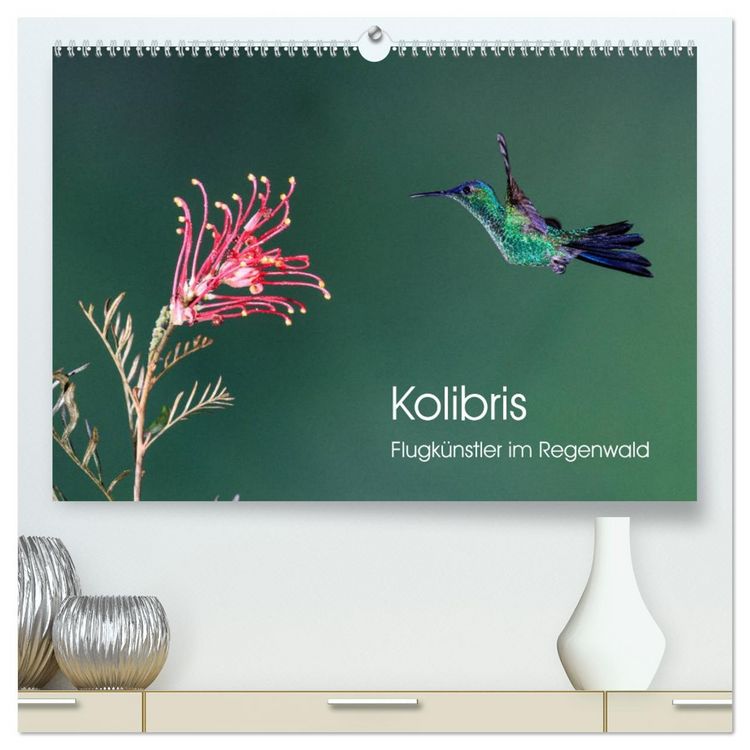 Produktbild: Kolibris - Flugk&uuml;nstler im Regenwald (hochwertiger Premium Wandkalender 2026 DIN A2 quer), Kunstdruck in Hochglanz