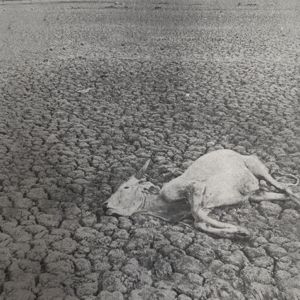 Produktbild: Omnes Nihil